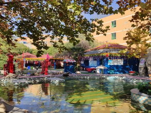 西安秦龍溫泉游玩全攻略 門票價格、地址、溫泉體驗與貼心貼士